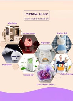 Generic مجموعة مكونة من 12 زيت عطري مرطب متعدد الروائح متعدد الألوان 3 مل  - Image 4