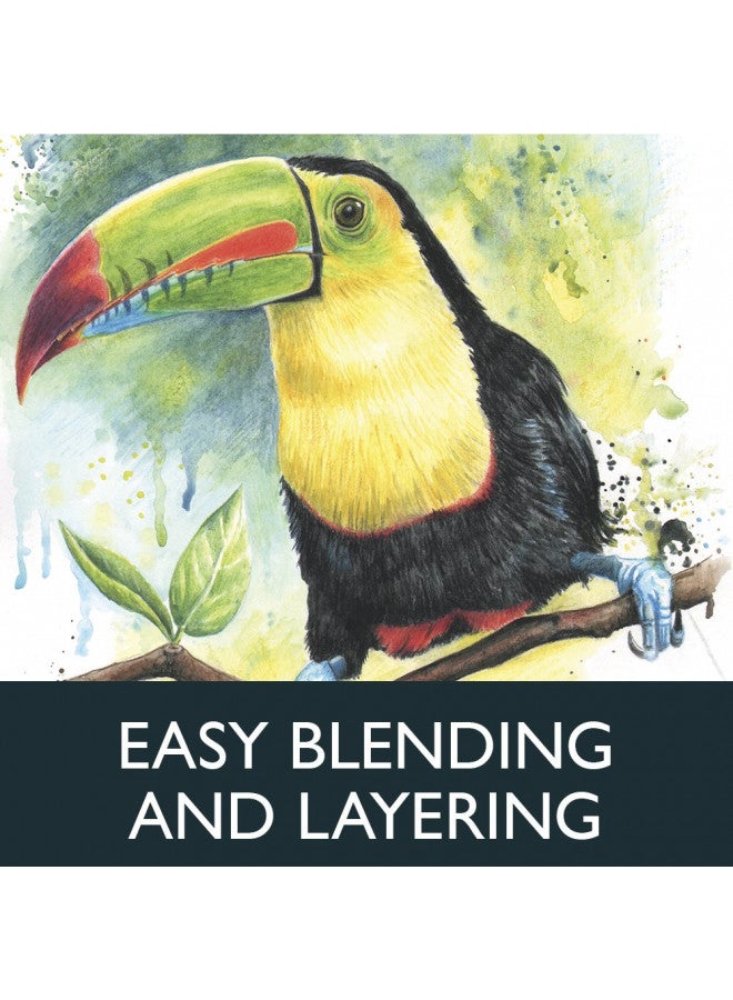 Derwent Colored Pencils, WaterColour, Water Color Pencils, Drawing, Art, Wooden Box, 48 Count (0700758) - Image 4