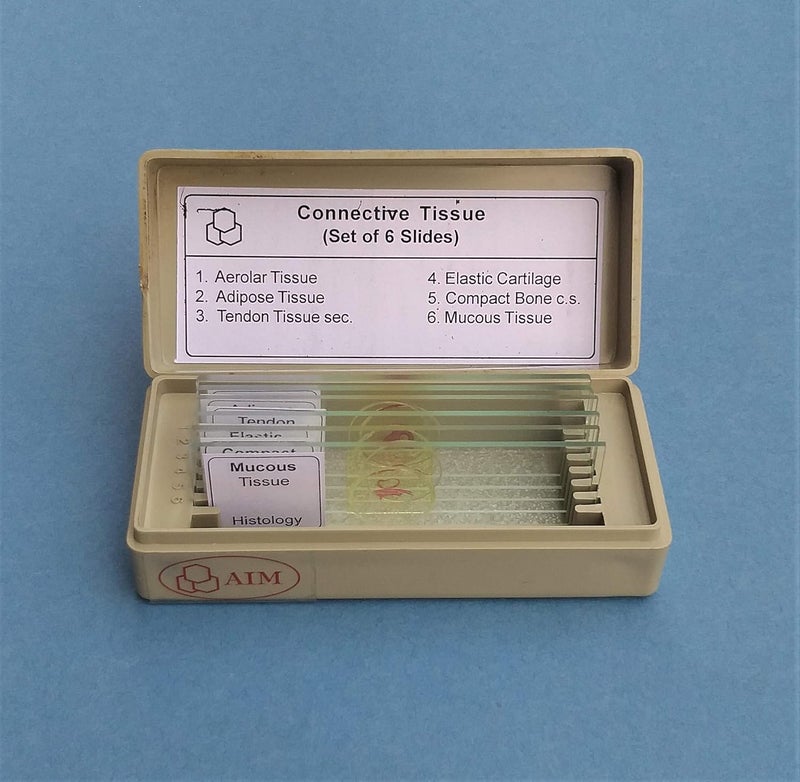Aim شرائح الأنسجة الضامة المعدة (مجموعة من 6) - Image 2