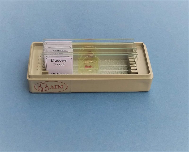 Aim شرائح الأنسجة الضامة المعدة (مجموعة من 6) - Image 1