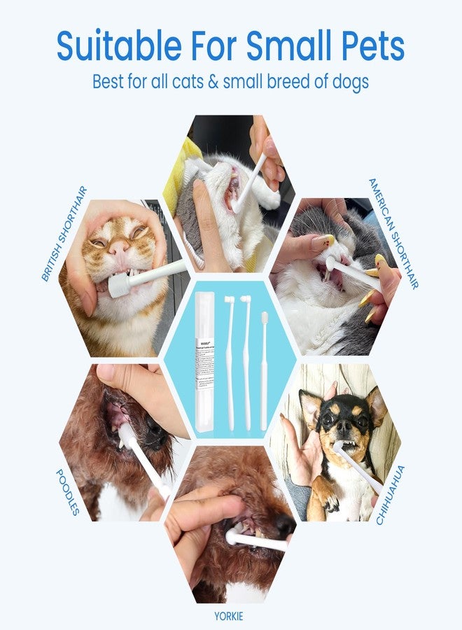 MISSELF Ultra Soft Cat Toothbrush, Tooth Brushes for Small Breed Dogs or Cats, 360 Silicone Kitten Teeth Brush, Micro Head Pet Dental Care with Case 3 Styles - Image 5