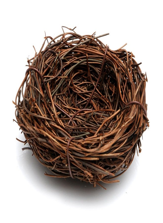 جيسي عش طائر بني مصنوع يدويًا من الكرمة من جيسي، ديكور منزلي لحفلات الزفاف، مصنوع يدويًا من الطبيعة، ديكور مناسب للعطلات (قطر 2.4 بوصة) - Image 3