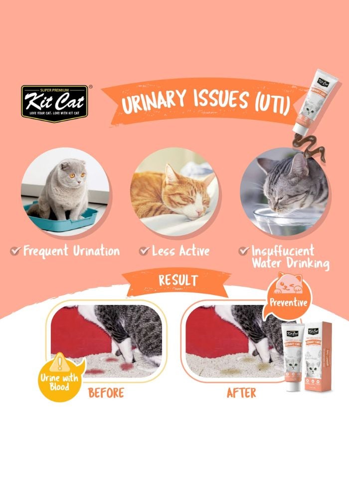 Kit Cat Daily Nutritional Supplement Gel For Cats & Kittens – Urinary Care (120g) - Image 2