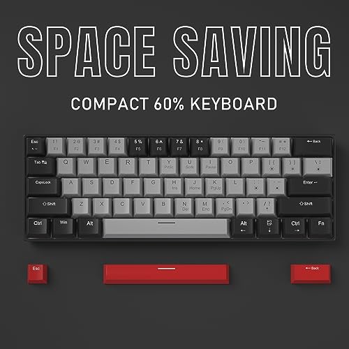 Camiysn 60% Mechanical Gaming Keyboard,Mixed Color Keycaps Gaming Keyboard with Clicky Blue Switches, Detachable Type-C Cable Mini Keyboard with Blue LED Light for/PC/Laptop - Image 3