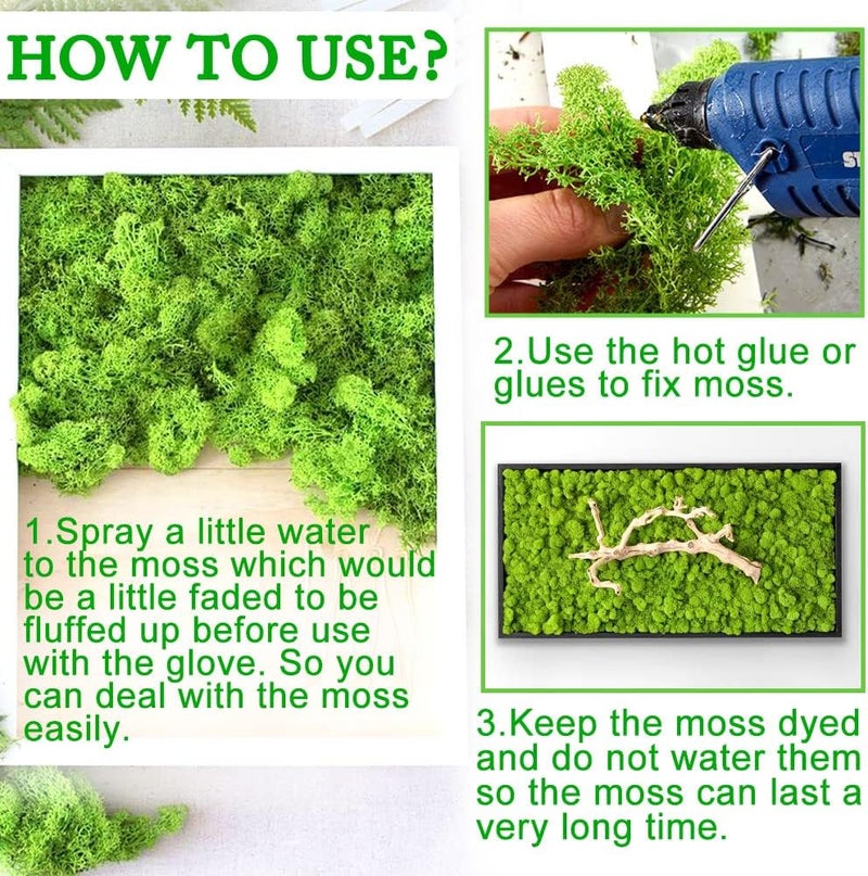 TCYPUHL Preserved Moss for Crafts Chartreuse Reindeer Moss for Potted Plants, Craft Decorative Moss Decor for Wall Art, Dried Moss(1.1 lb, Chartreuse) - Image 5
