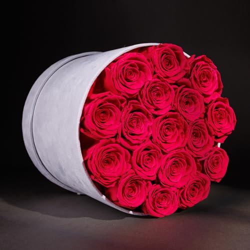 Prifroti 17 Flowers in a Luxury Suede Box, Birthday Gifts for Women, Preserved Flowers, Mothers Day Roses Gift for Mom, Hot Pink - Image 4
