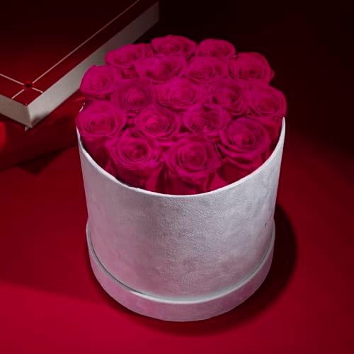 Prifroti 17 Flowers in a Luxury Suede Box, Birthday Gifts for Women, Preserved Flowers, Mothers Day Roses Gift for Mom, Hot Pink - Image 2