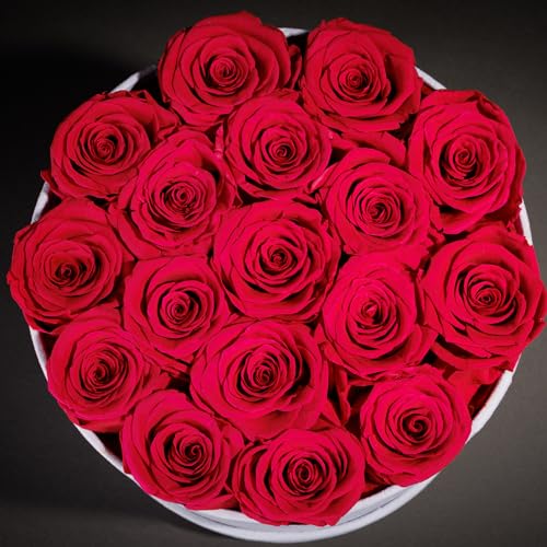 Prifroti 17 Flowers in a Luxury Suede Box, Birthday Gifts for Women, Preserved Flowers, Mothers Day Roses Gift for Mom, Hot Pink - Image 5
