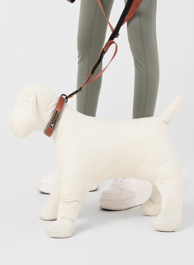 OllyDog طوق OllyDog Martingale العاكس المريح، طوق انزلاقي عاكس للجري الليلي، مبطن بنسيج النيوبرين الناعم، راحة إضافية للكلاب النشطة (صغير، بنقشة خشب الطين) - Image 4