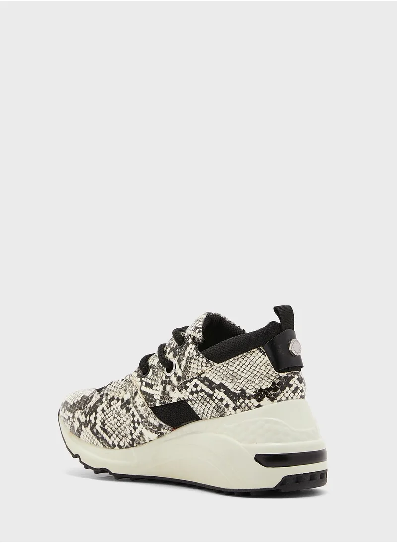 STEVE MADDEN Cliff Low Top Sneaker