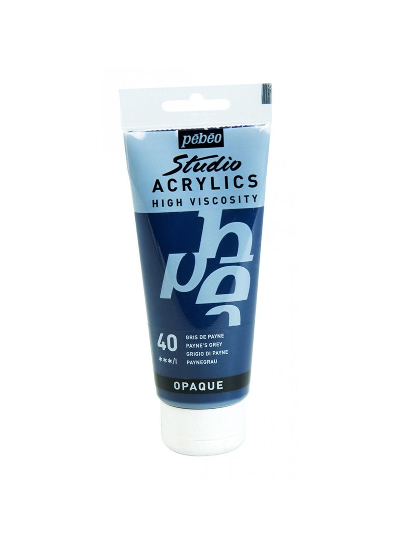 Pebeo Studio Acrylics Acrylic Paint Tube 100ml Content Payne's Grey - Image 1
