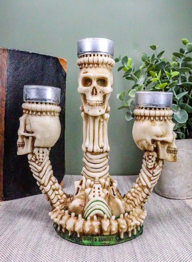 Ebros Gift Ebros Gothic Trio Ossuary Graveyard Skulls and Skeleton Bones Candelabra Candle Holder Statue Wicked Skeletal Altar Shrine Figurine - Image 2