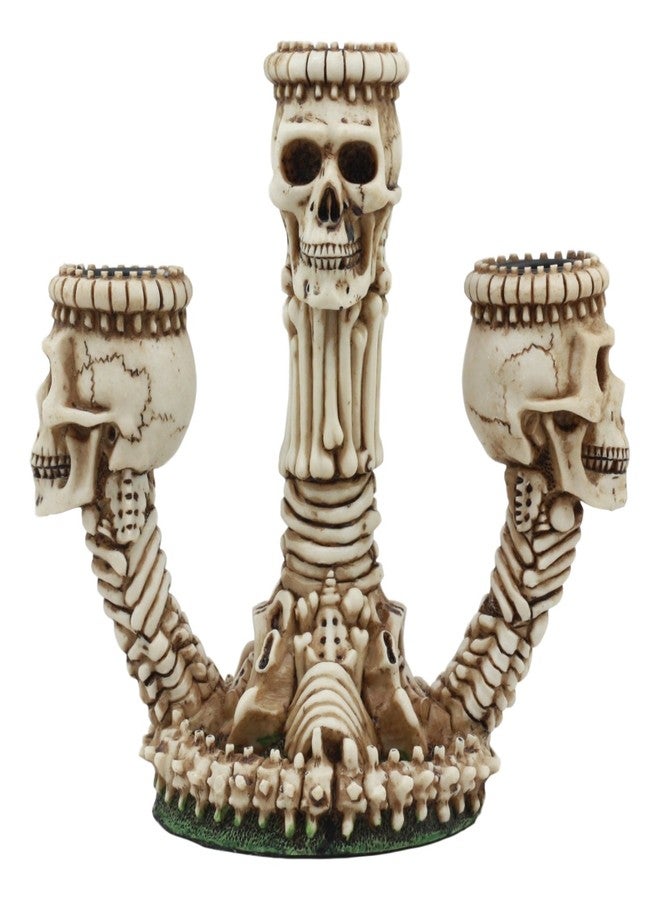 Ebros Gift Ebros Gothic Trio Ossuary Graveyard Skulls and Skeleton Bones Candelabra Candle Holder Statue Wicked Skeletal Altar Shrine Figurine - Image 1