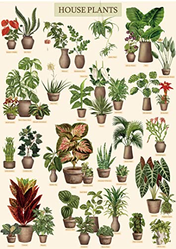 BBOLDIN Vintage Houseplant Puzzle 1000 Pieces for Adult Botany Succulent House Plant Puzzle 39 Common Indoor Plants Jigsaw Puzzles - Image 1