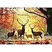 MINIWAN Autumn Fall Forest Red Stags Puzzles for Adults 1000 Pieces Golden Sunlight Red Maple Deer Jigsaw Puzzle Gift for Wildlife Nature Landscape Lovers 275x197 Inch - Image 2
