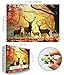 MINIWAN Autumn Fall Forest Red Stags Puzzles for Adults 1000 Pieces Golden Sunlight Red Maple Deer Jigsaw Puzzle Gift for Wildlife Nature Landscape Lovers 275x197 Inch - Image 4