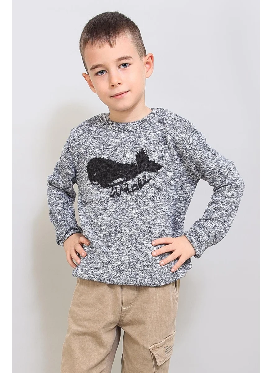 الكسندر جاردي Kids Patterned Knitwear Sweater (C19-AG50374)