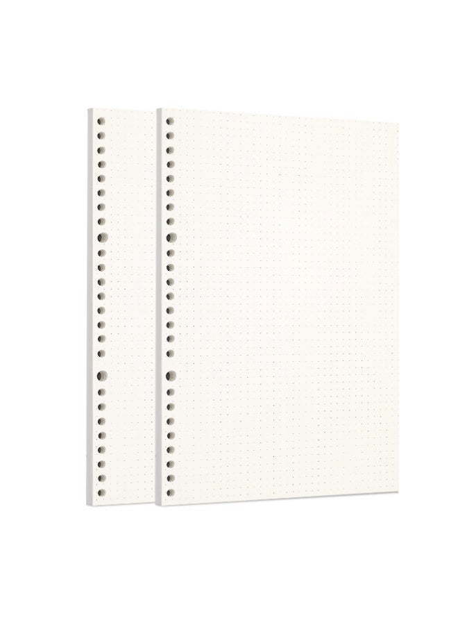Zelten 2 Pack B5 120 Sheets/240 Pages Dotted Loose Leaf Punched Paper Refills Paper for 26 Hole Binder Personal Organizer Diary Notebook Refillable Planner - Image 1