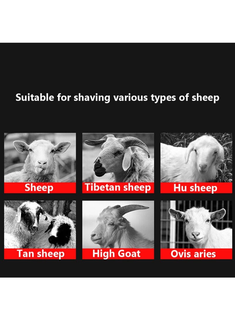 Sheep Shears Cordless 2800r/min Professional Rechargeable Shearing Clipper 24V for Shaving Fur Wool Hair Cutter in Sheep Goat Cattle and Other Farm Livestock with 1 Lithium Batteriesc - Image 5