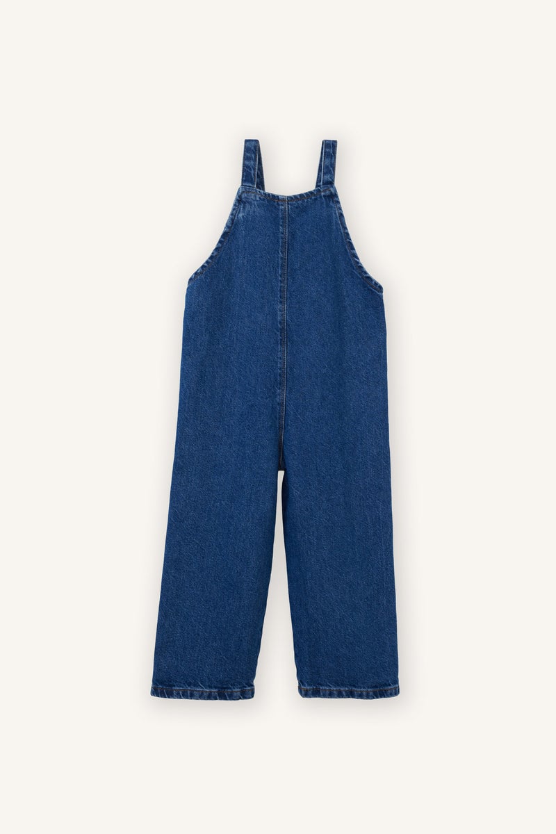 DeFacto Blue BabyGirl Baby Girl Embroidered Denim Jumpsuit Casual - Image 4