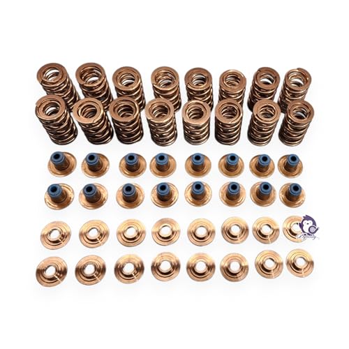 Dynosty Texas Speed TSP .660"" Dual Valve Spring Kit Titanium Retainers 4.8 5.3 5.7 6.0 6.2 LS1 LS2 LS3 - Image 3