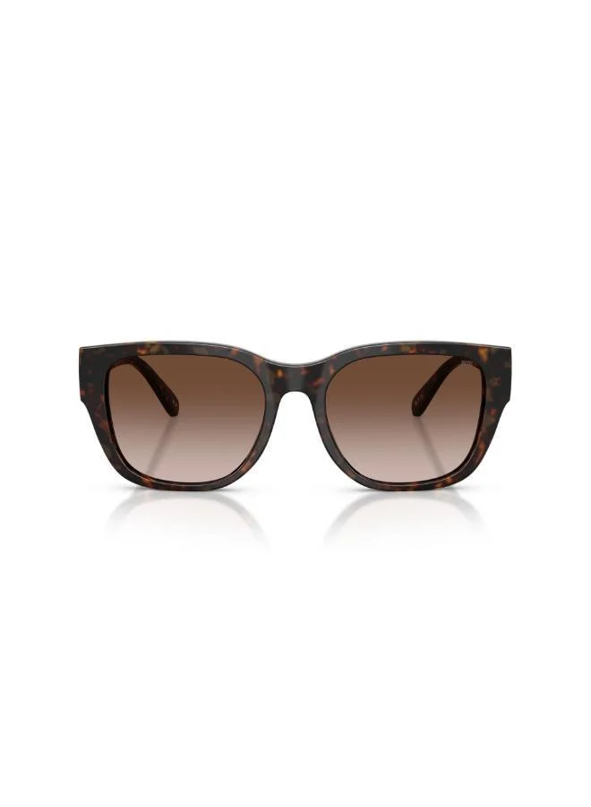 DIESEL 0Dl2005 Square Sunglasses