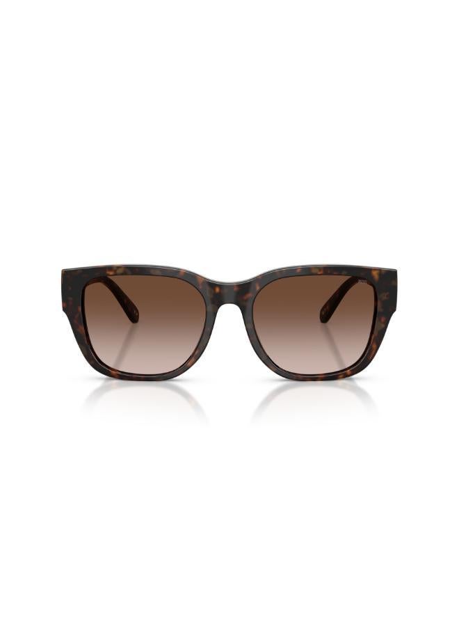 DIESEL 0Dl2005 Square Sunglasses - Image 5