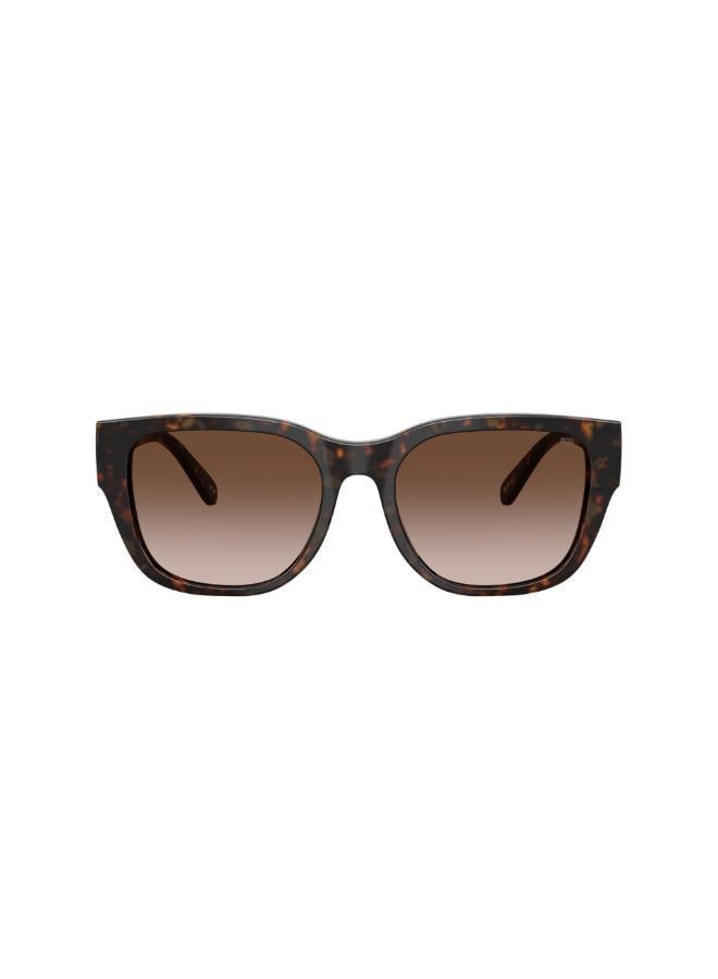 DIESEL 0Dl2005 Square Sunglasses - Image 2