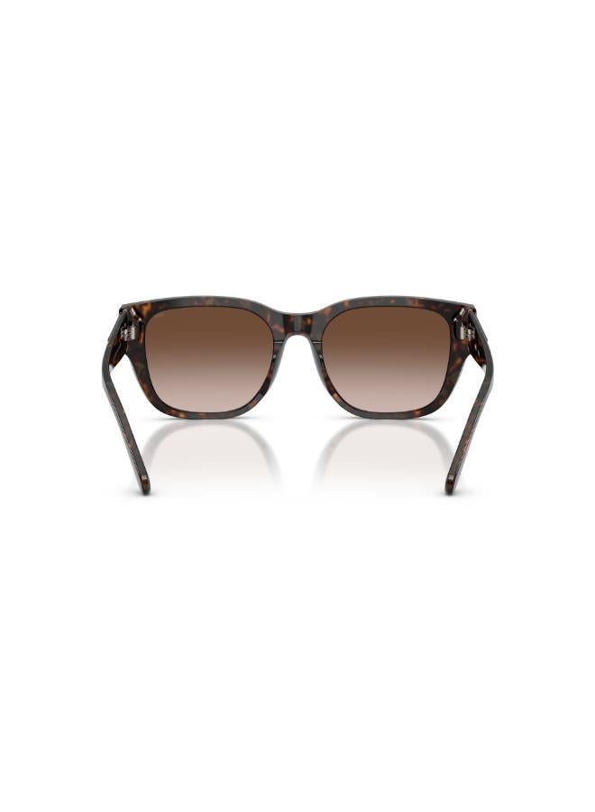 DIESEL 0Dl2005 Square Sunglasses - Image 3