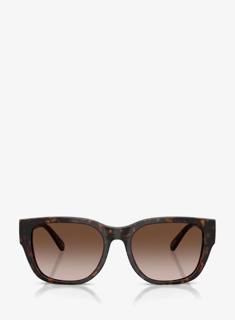 Diesel  0Dl2005 Square Sunglasses for Men | Best Price UAE
