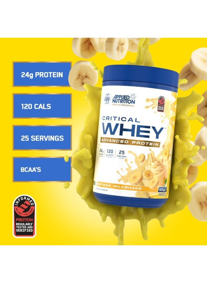 Critical Whey Blend Protein Powder, Banana Milkshake Flavour, 500 G | Whey Concentrate, Isolate & Hydrolysate | High-Protein Formula