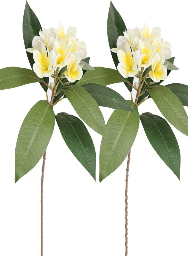 Htmeing 2PCS Artificial Plumeria Frangipani Flower Long Stem Real Touch Lifelike for Wedding Home Party Autumn Flowers Decoration (70CM, Beige) - Image 1