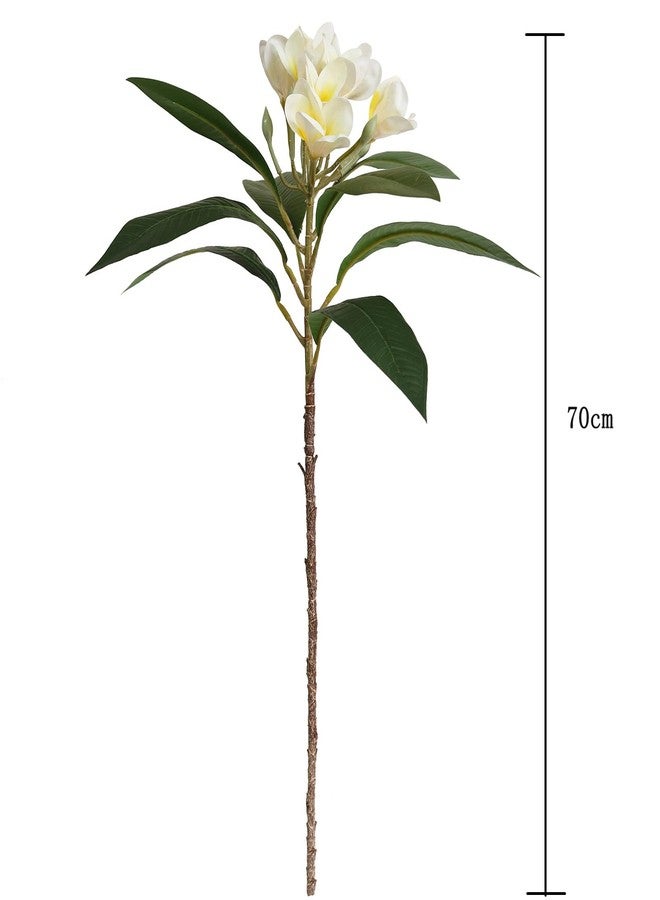 Htmeing 2PCS Artificial Plumeria Frangipani Flower Long Stem Real Touch Lifelike for Wedding Home Party Autumn Flowers Decoration (70CM, Beige) - Image 2