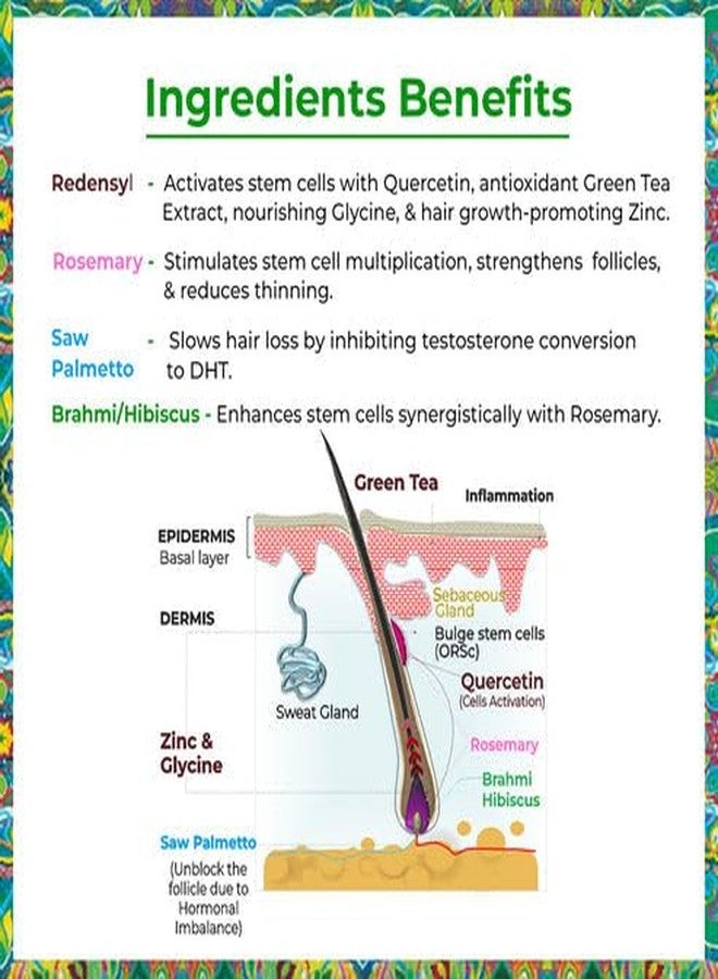باشن إندلج زيت الشعر بالبصل من باشن إندلج، سيروم نمو الشعر بإكليل الجبل، معزز بروتين سبا الشعر وشامبو الباباين - Image 3