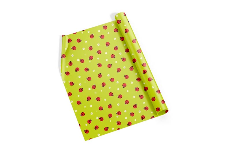 Dovetail Ladybug Hug Kids Gift Wrapping Paper Pack of 10 Sheet - Image 5