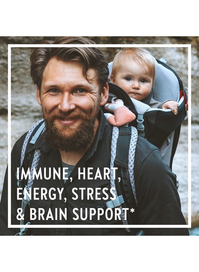 New Chapter فصل جديد فيتامينات متعددة للرجال، كل رجل، مخمر مع البروبيوتيك + السيلينيوم + فيتامينات ب + فيتامين د3 + مكونات عضوية غير معدلة وراثيًا - 48 حبة (قد يختلف التعبئة) - Image 4