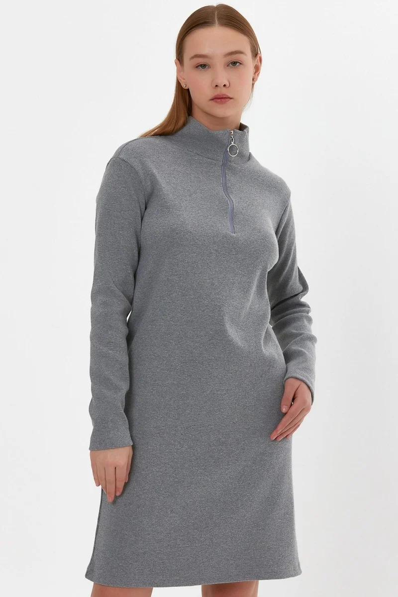 Alexander Gardi Stand Collar Zippered Tunic Dress (B22-21501)