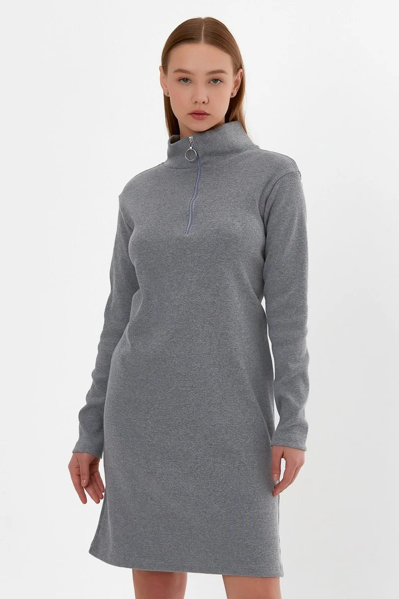 Alexander Gardi Stand Collar Zippered Tunic Dress (B22-21501)