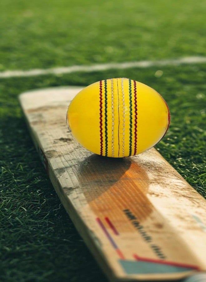 NE NEPTUNE Cricket Ball Genuine Yellow Leather Cricket Balls for Indoor Cricket Practice,Training, Matches for Seniors & Juniors (Yellow Leather) Pack of 1 - Image 5