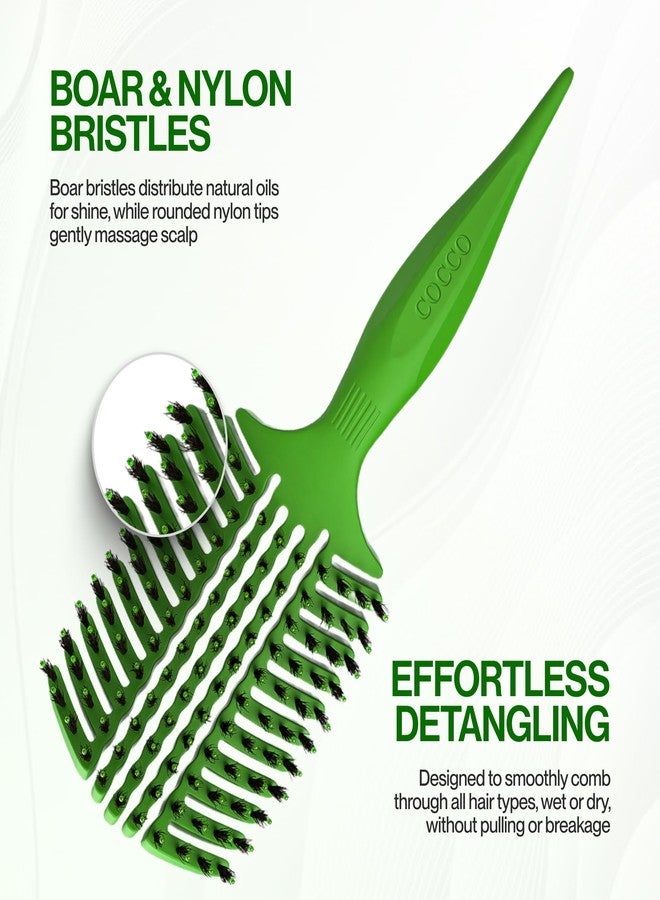 COCCO Aura Vent Boar Brush | Vented Dual-Curved Design for Faster Drying, Effortless Detangling & Shine, Boar + Nylon Bristles, Ergonomic Comfort Handle for Wet & Dry Hair Styling - Green - Image 5