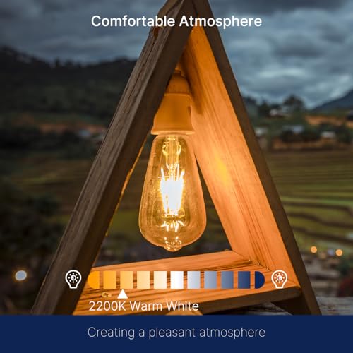 FLSNT ST19 LED Edison Bulbs 40W Equivalent, 4W Amber Glass Vintage Light Bulbs, 2200K Warm White Dimmable, High CRI 90+, 400LM E26 Base, Decorative LED Filament Bulbs for Pendant, Chandelier, 6 Pack - Image 5