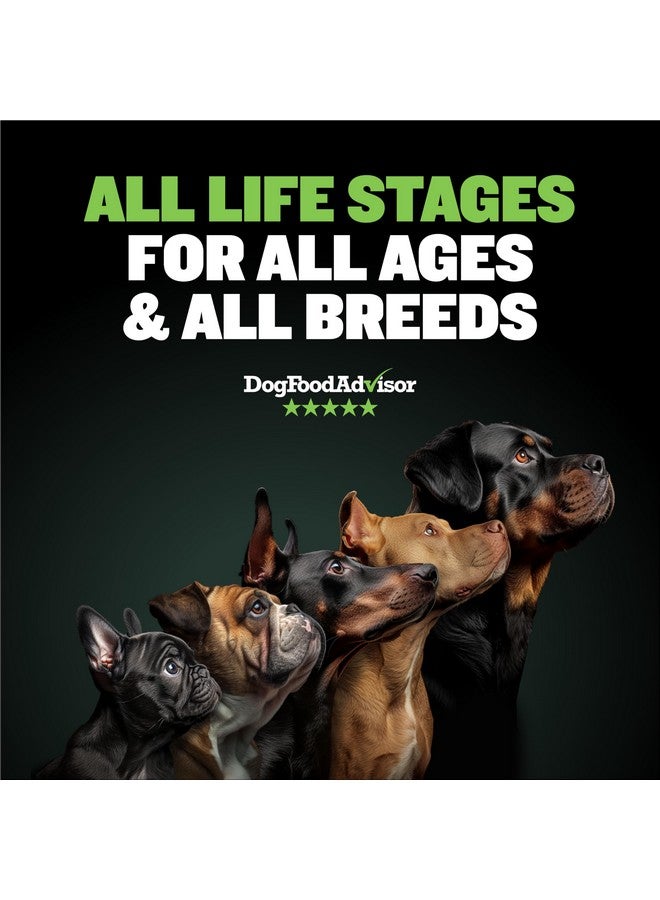 Bully Max 25/11 High Protein & Low Fat Dry Lamb Dog Food for Puppies and Adult Dogs - Chicken-Free Lamb Flavor - Natural Puppy Food for All Ages, Small and Large Breeds - Large Kibble Size, 5 lb. Bag - Image 1