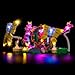 LocoLee Light kit Compatible with Lego 75688 Wicked Glindas Wedding Day No Model Only Light LED Lighting Accessories Compatible with Lego 75688 - Image 4