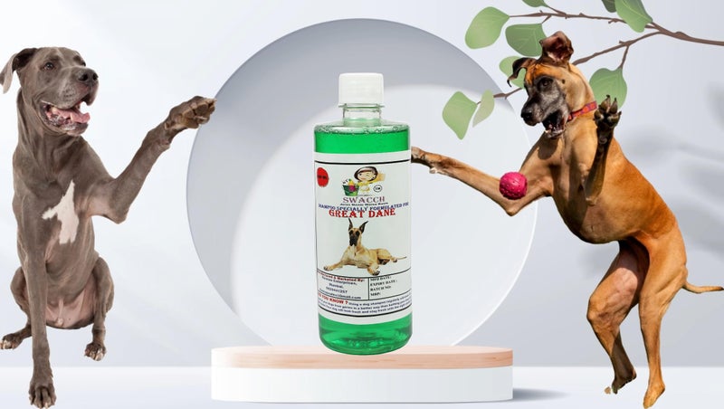Swacch Shampoo Specially Formulated for Great DANE (500ML) Neem Alovera - Image 1