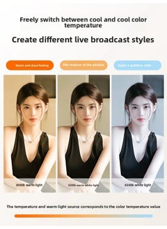 General Desktop Computer Live Led Double Row Fill Light Live Room Background Lighting Light Anchor Atmosphere Desktop Stick Light-Specifications:Flagship Fill Light  - Image 3