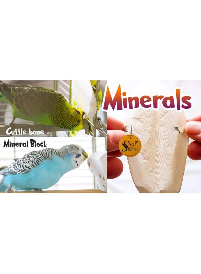 سايج سكوير سمك الحبار الطبيعي الغني بالكالسيوم للطيور والببغاوات (400 جرام) - Image 4