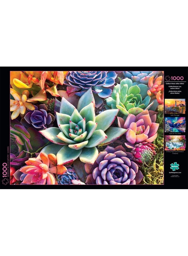 بافلو جايمز ألعاب الجاموس - نبات عصاري بسيط - أحجية الصور المقطوعة من ١٠٠٠ قطعة - Image 5