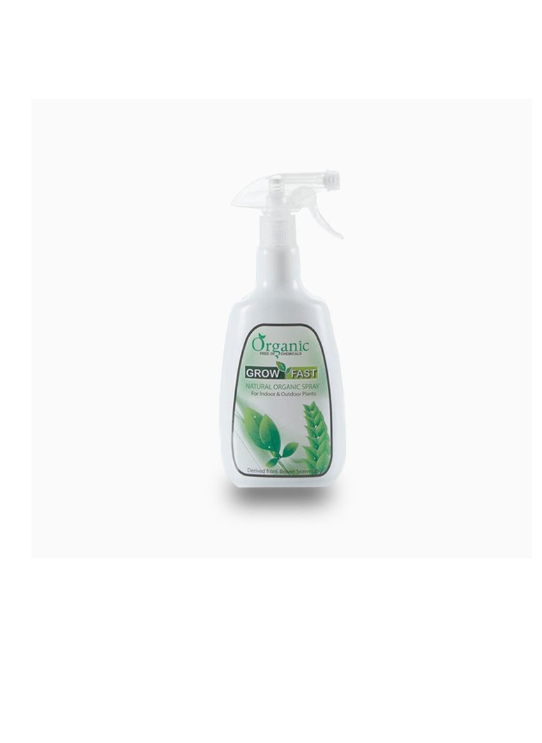 GROW FAST Grow Fast Natural Organic Spray  - Image 3