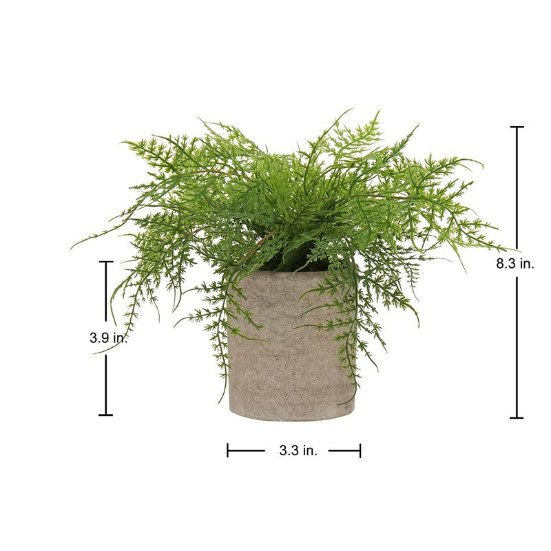 Briful Small Fake Plant Potted Plants Artificial Decor Plastic Asparagus Ferns Plant Faux Plants in Pots for Home Living Room Bedroom Desk Shelf Farmhouse Decoration - Image 2