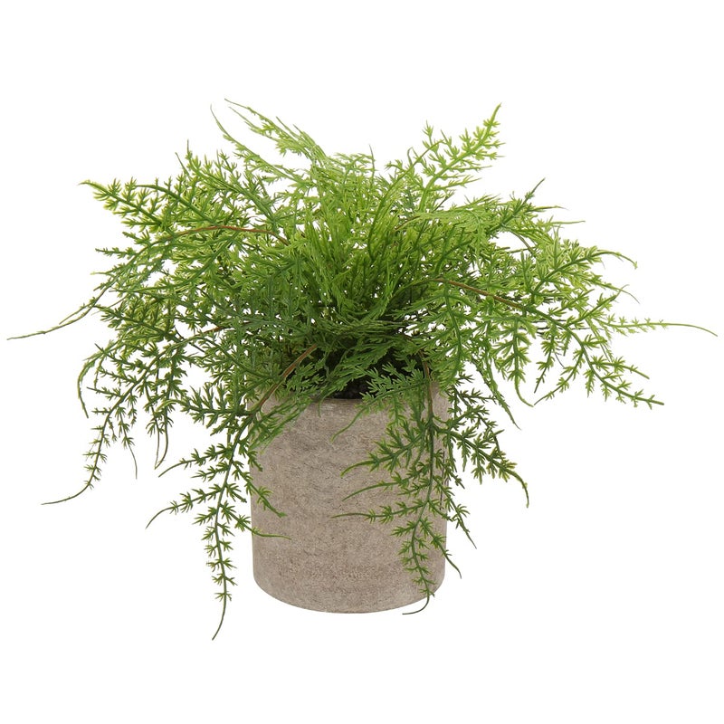 Briful Small Fake Plant Potted Plants Artificial Decor Plastic Asparagus Ferns Plant Faux Plants in Pots for Home Living Room Bedroom Desk Shelf Farmhouse Decoration - Image 1